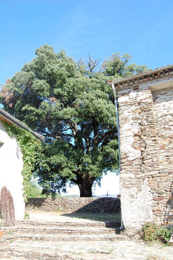 La Vallee De Gaia Bed and Breakfast Saint-Hilaire-de-Lavit Buitenkant foto
